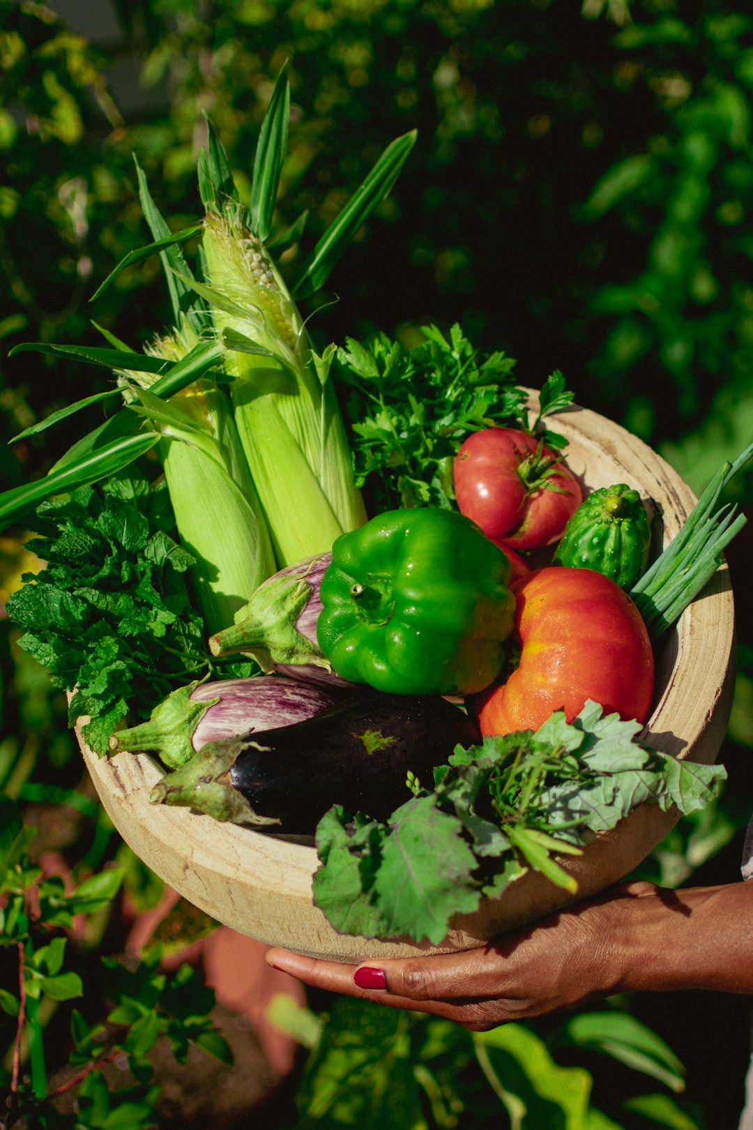 Fresh produce for The Garden House pop-up pantries